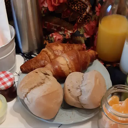 Turista Da Trindade Porto